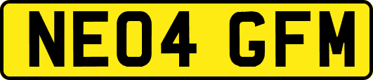 NE04GFM