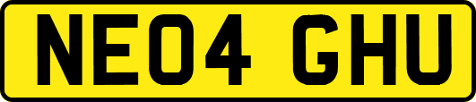 NE04GHU