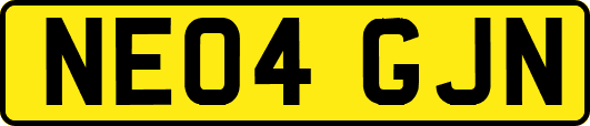 NE04GJN