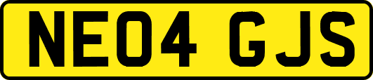 NE04GJS