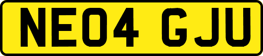 NE04GJU