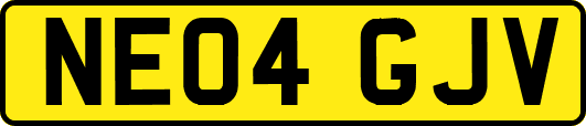 NE04GJV
