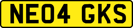 NE04GKS