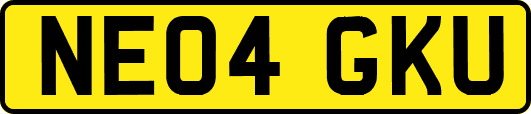 NE04GKU