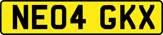 NE04GKX