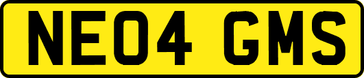 NE04GMS