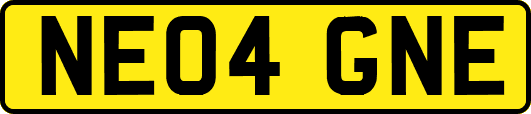NE04GNE