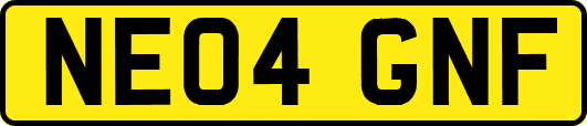 NE04GNF