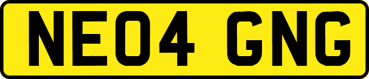 NE04GNG