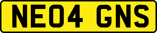 NE04GNS