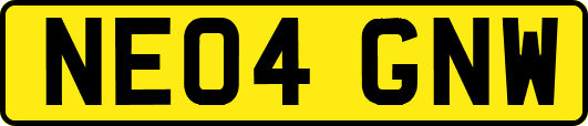 NE04GNW