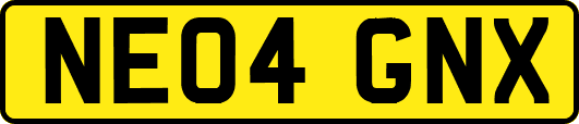 NE04GNX