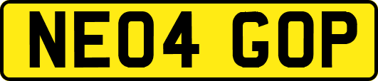 NE04GOP