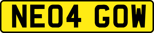 NE04GOW
