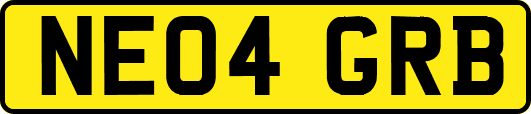 NE04GRB