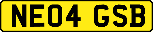 NE04GSB