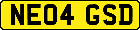 NE04GSD