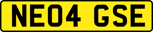 NE04GSE