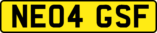 NE04GSF