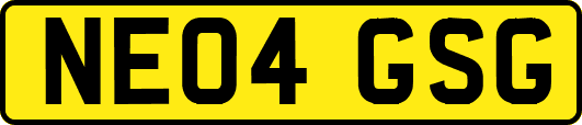 NE04GSG