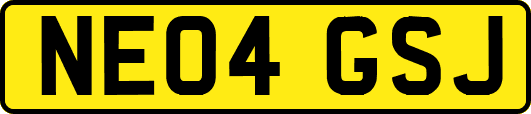 NE04GSJ
