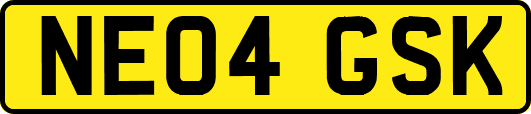 NE04GSK
