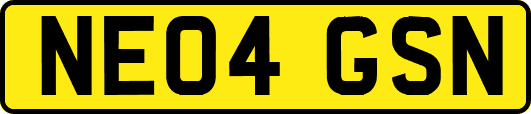 NE04GSN