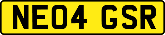NE04GSR
