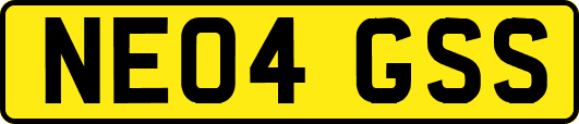 NE04GSS