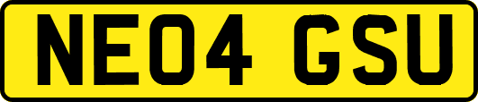NE04GSU
