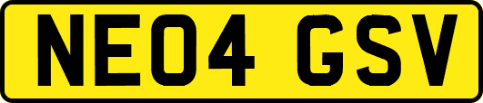 NE04GSV