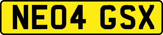 NE04GSX