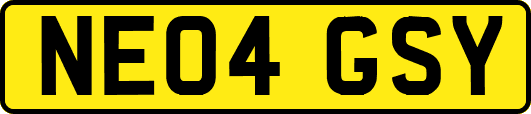 NE04GSY
