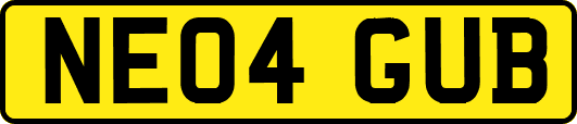 NE04GUB