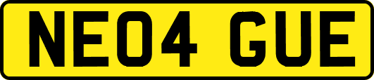 NE04GUE