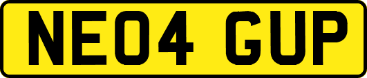 NE04GUP