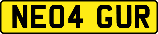 NE04GUR