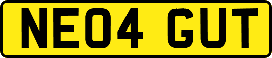 NE04GUT