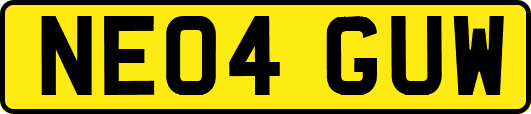 NE04GUW
