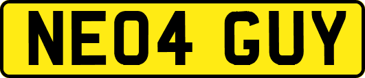 NE04GUY