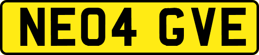 NE04GVE
