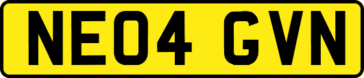 NE04GVN
