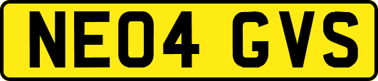 NE04GVS