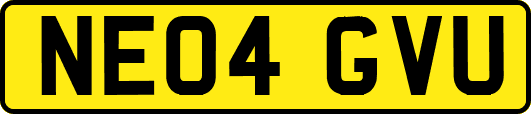 NE04GVU