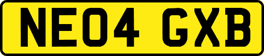 NE04GXB