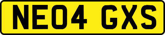 NE04GXS
