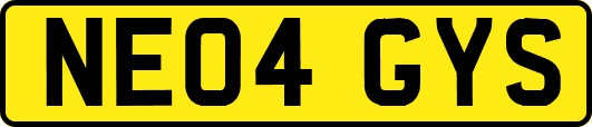 NE04GYS