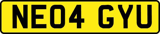 NE04GYU