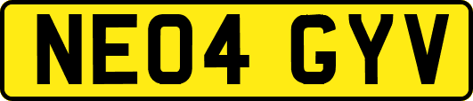 NE04GYV