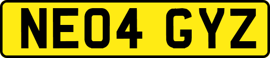 NE04GYZ